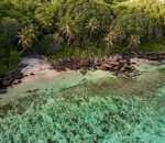 Stunning aerial view of a tropical beach with clear turquoise water and lush greenery in Seychelles.