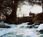 A captivating waterfall surrounded by trees and a vendor stall in a tranquil setting.