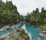 Discover the peaceful Kokatahi River flowing through dense forest in West Coast, New Zealand.